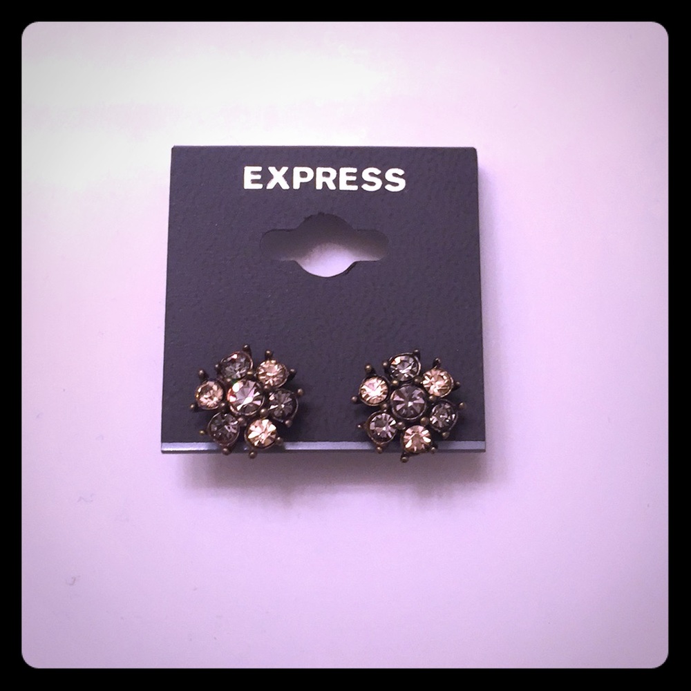Express Earrings